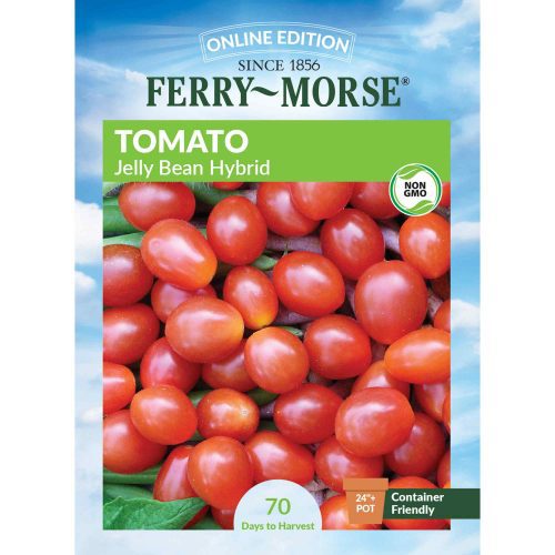 8103 Tomato Jelly Bean Front 2000px