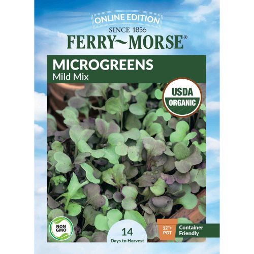 8215 Microgreens Mild Front 2000px