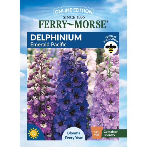 9501 Delphinium Emerald Front 2000px