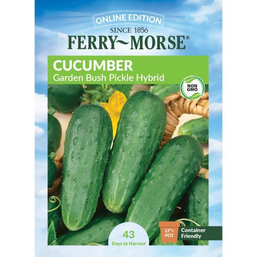 9513 Cucumber Pickle Front 2000px