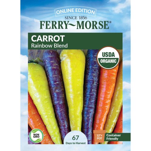 9531 Carrot Rainbow Front 2000px