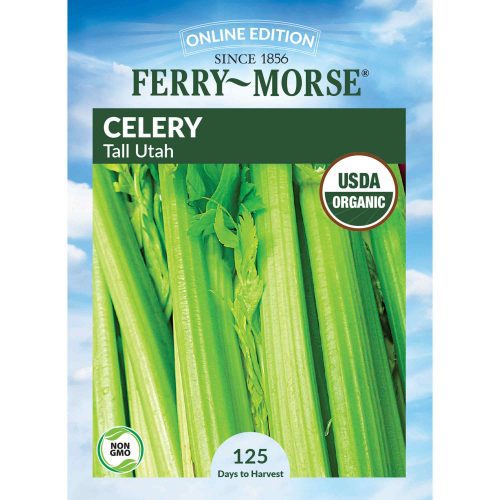 9532 Celery Tall Utah Front 2000px