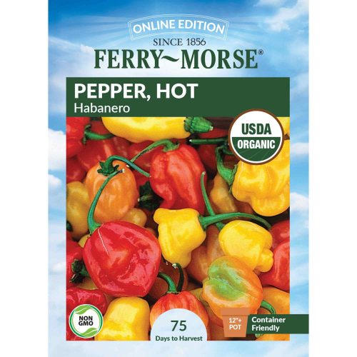 9534 Pepper Habanero Front 2000px