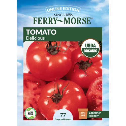 9537 Tomato Delicious Front 2000px