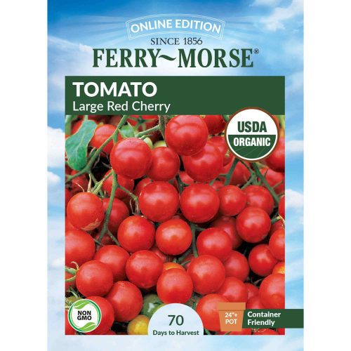 9538 Tomato Large Red Cherry Front 2000px