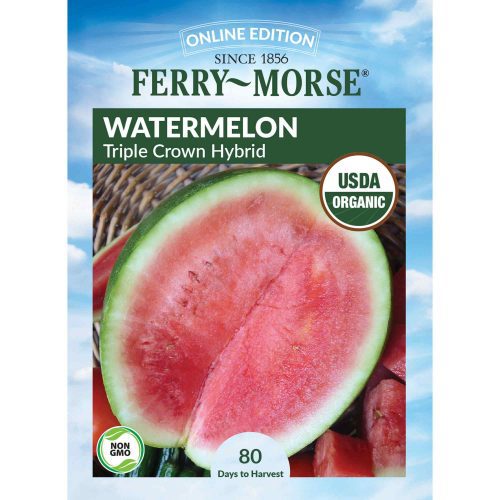 9540 Watermelon Triple Crown Front 2000px