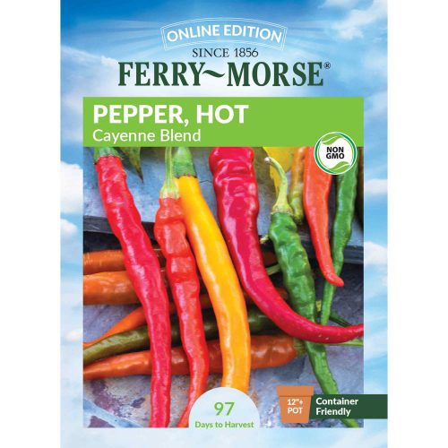 9554 Pepper Cayenne Front 2000px