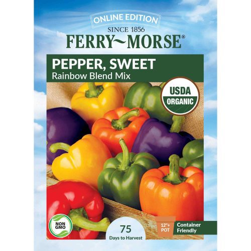 9567 Pepper Rainbow Blend Front 2000px