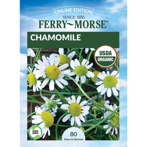 9568 Chamomile Front 2000px