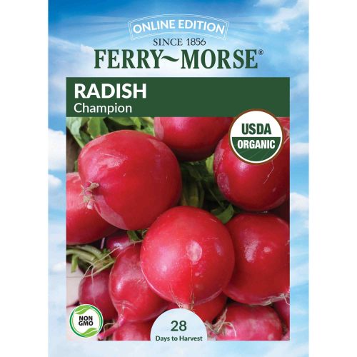 9640 Radish Champion Front 2000px