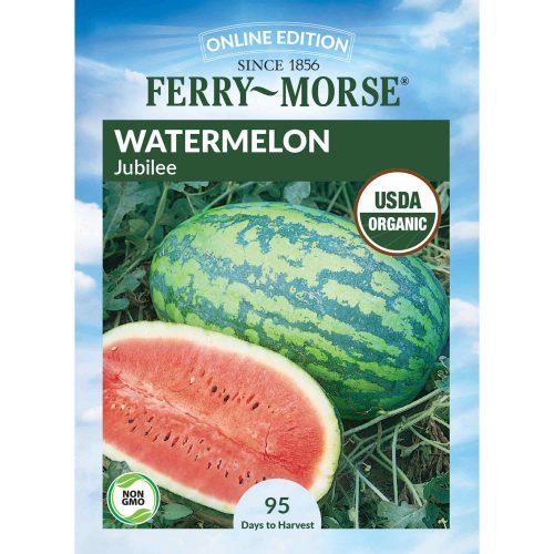 9643 Watermelon Jubilee Front 2000px