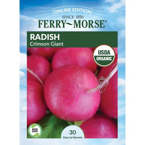 9717 Radish Crimson Front 2000px