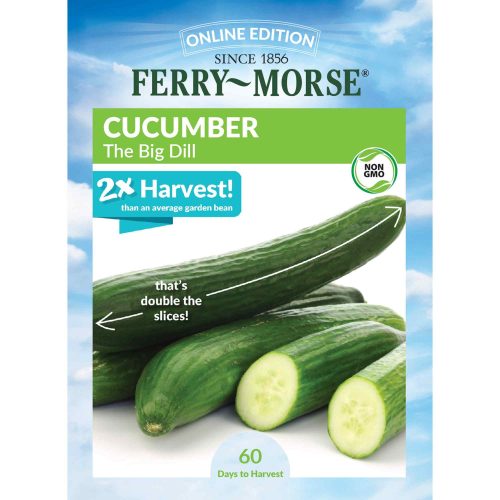 9891 Cucumber Big Dill Front 2000px