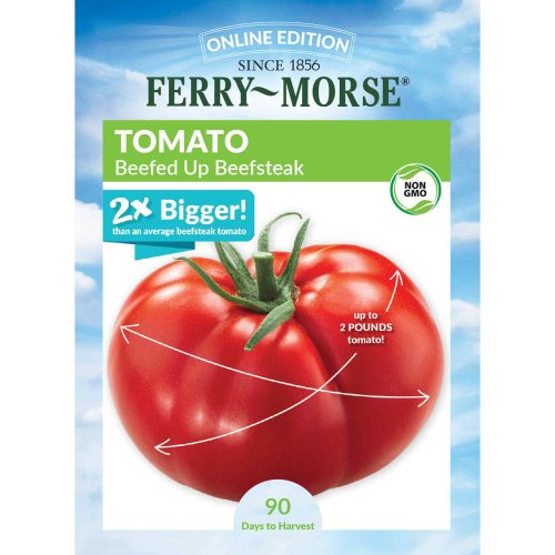 9894 Tomato Beefed Up Front 2000px