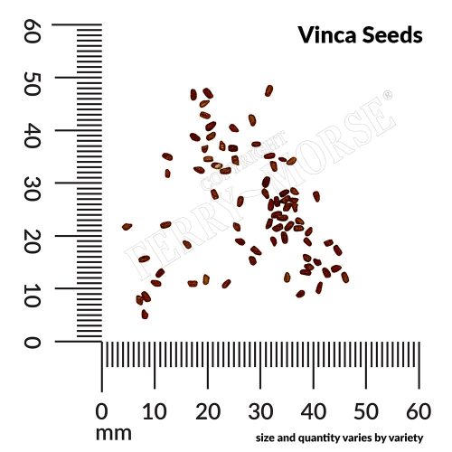 A Vinca Seeds measurement