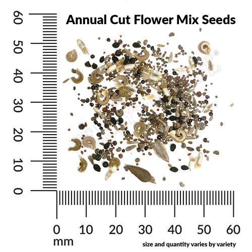 Annual Cut Flower Mix Seed Spill