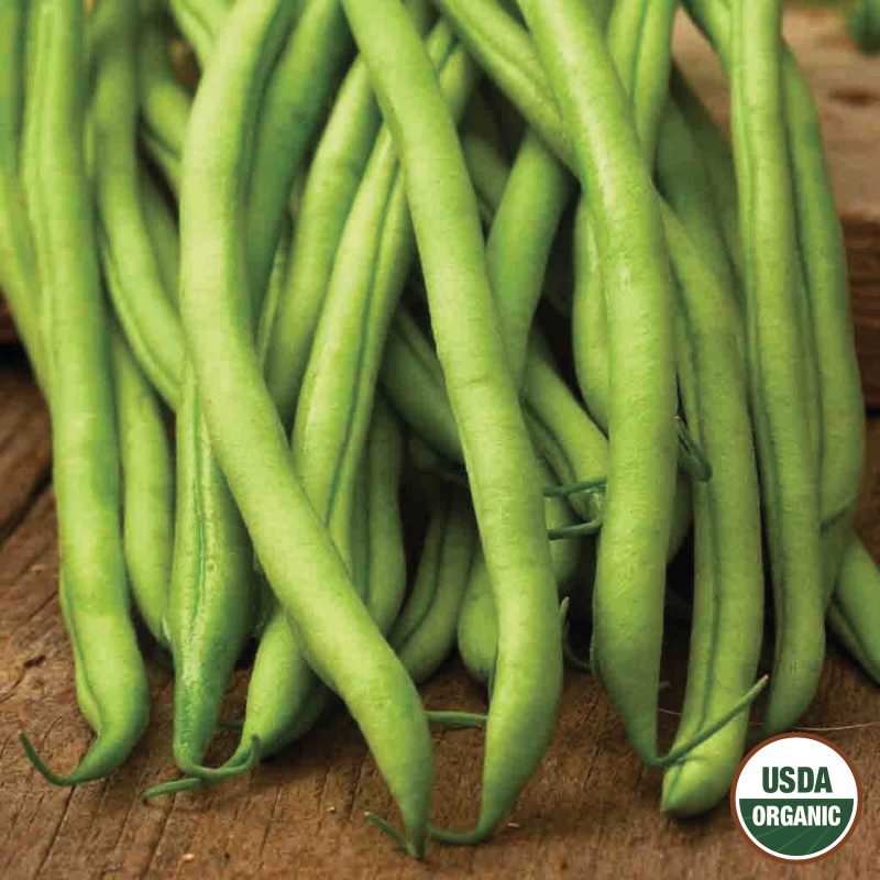 Bean Blue Lake Stringless Pole Organic Seeds USDA logo