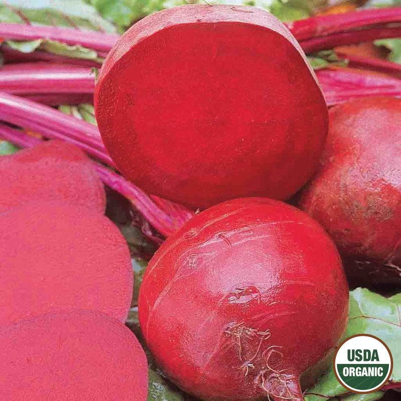 Beet Ruby Queen Organic Seeds USDA logo