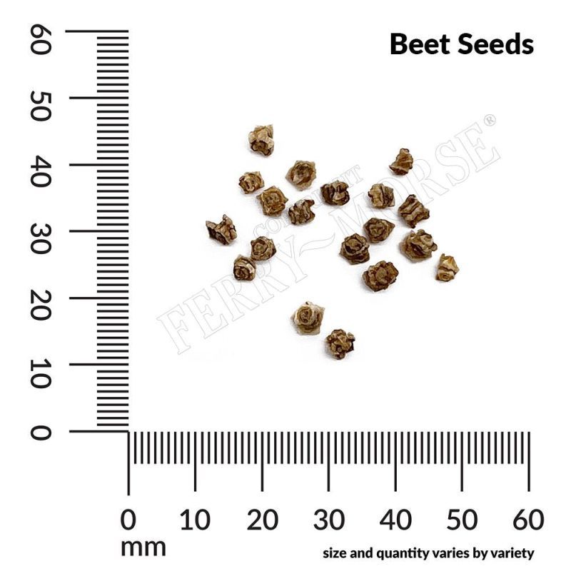 Beet Seeds Spill