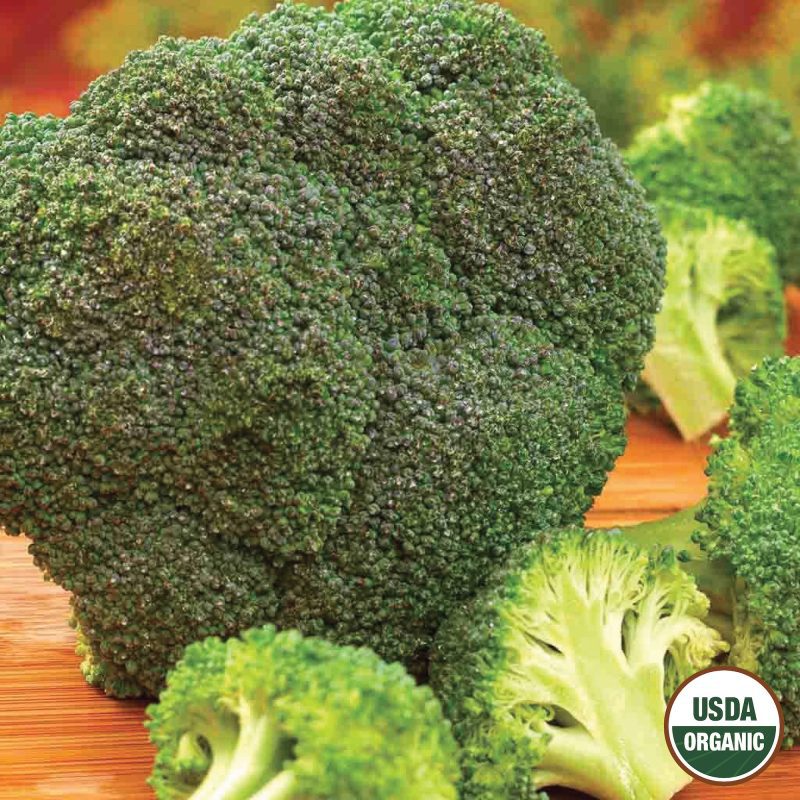 Broccoli De Cicco Organic Seeds USDA logo