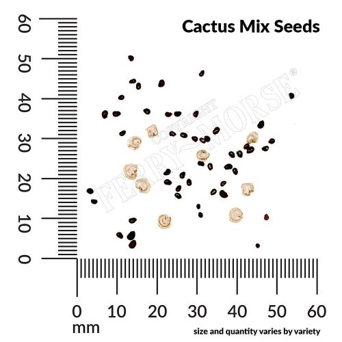 Cactus Mix Seed Spill