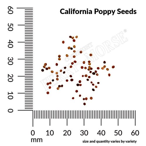 California Poppy Seed Spill