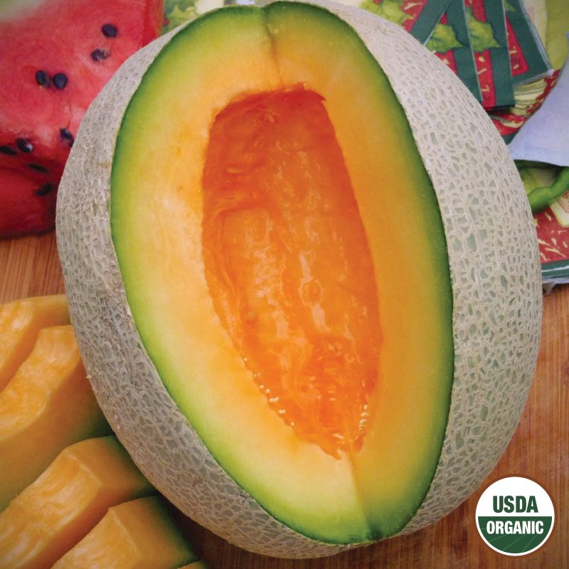 Cantaloupe Sierra Gold Organic Seeds USDA logo