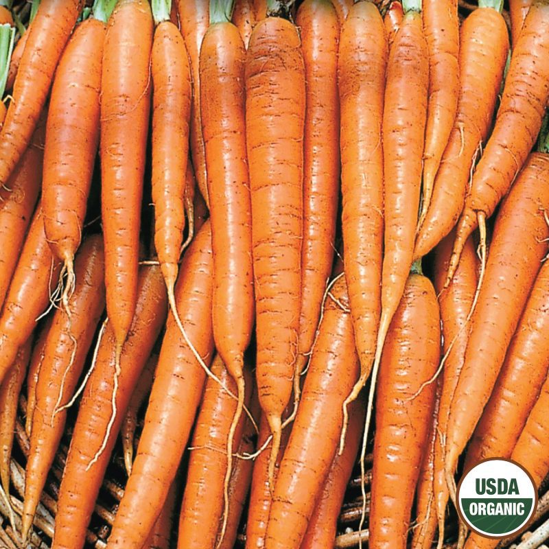 Carrot Tendersweet Organic Seeds USDA logo