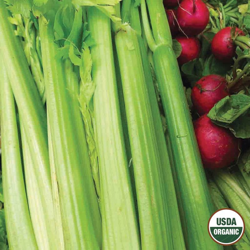 Celery Tall Utah Organic Seeds USDA logo