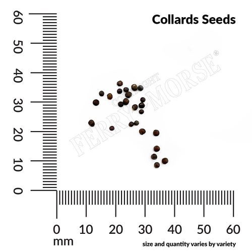 Collards Seed Spill