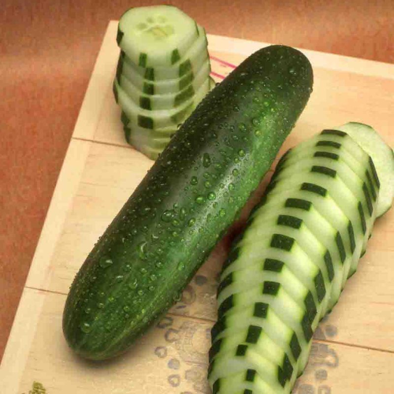 Cucumber Muncher Vegetable Ferry Morse