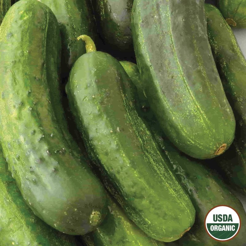 Cucumber National Pickling Organic Seeds USDA logo