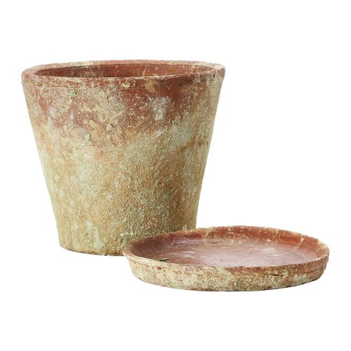 DF4223 Large Round Terracotta Cement Planter with Saucer