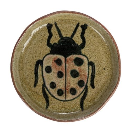 DF8816SETLadyBug