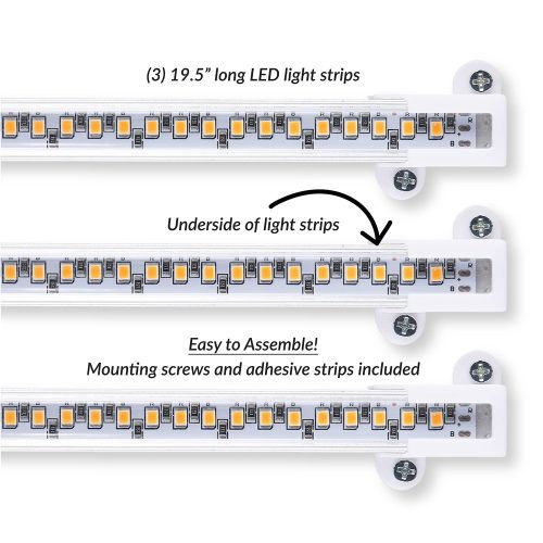 FM ecomm 2000px KBAM lights