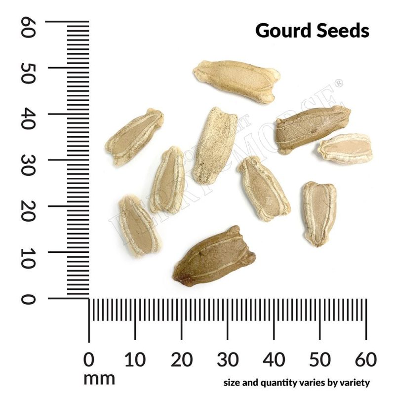 Gourd Seed Spill