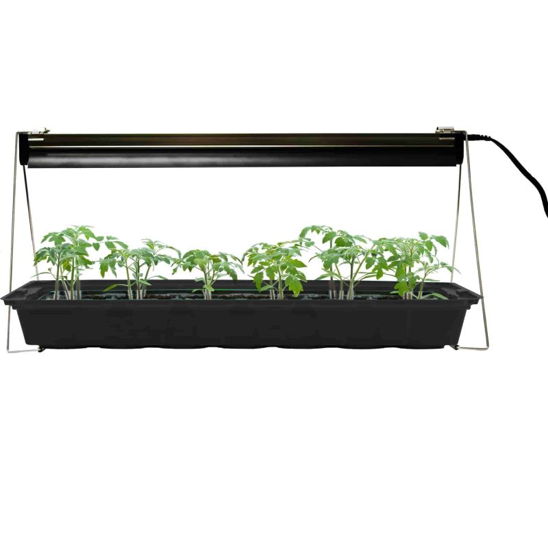 Grow Light In Use Ferry Morse