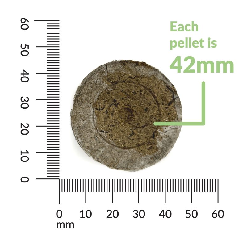 JIFFY Pellets 42mm measure 2000x2000 ea0b6e6b 0346 4d16 85ba fdf4471e765a