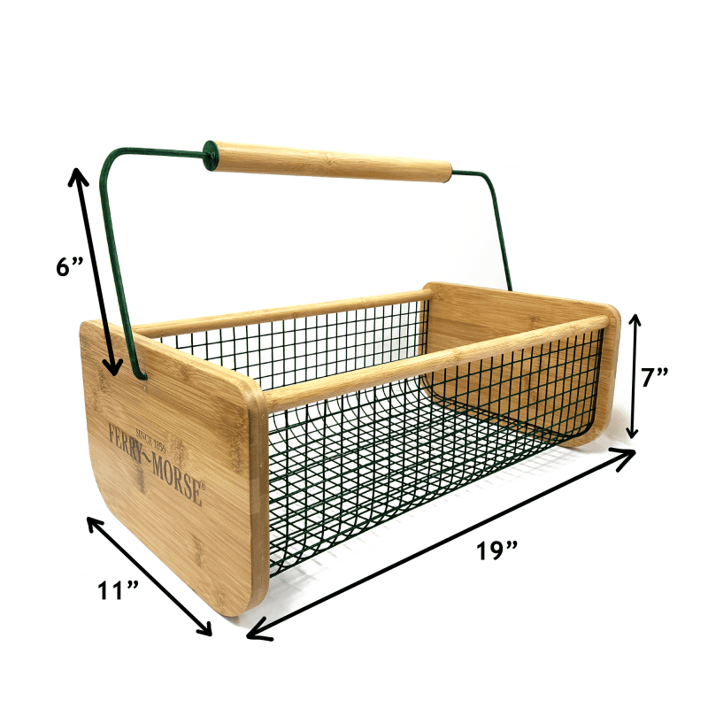 KBASKET Measurements