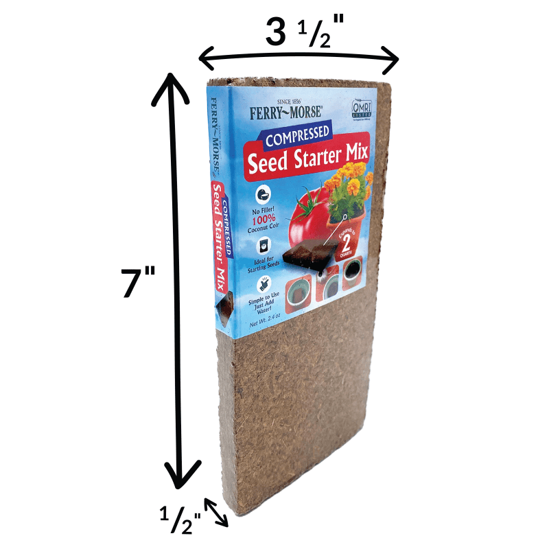 KBRICK finalimage measurement