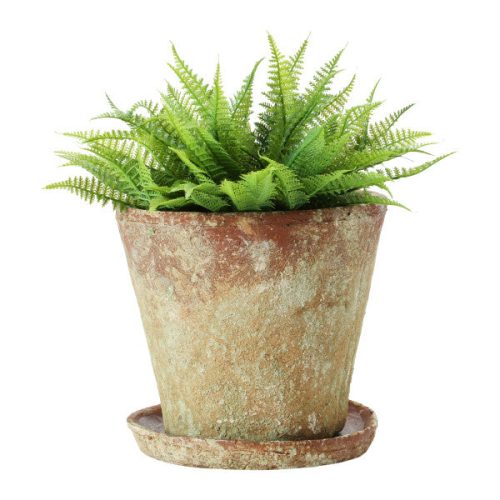 Large Round Terracotta Cement Planter with Saucer Lifestyle