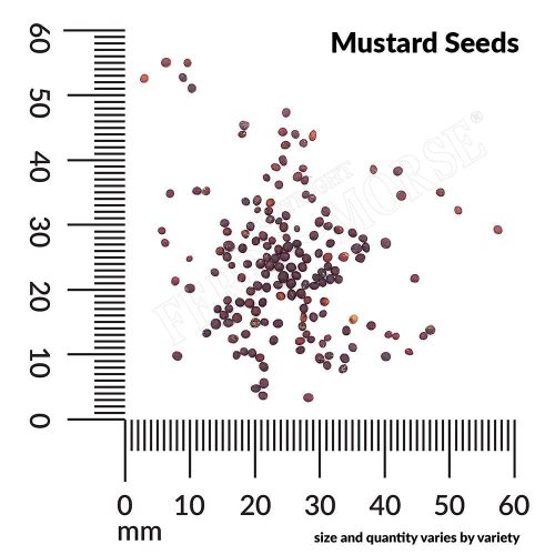 Mustard Seeds Spill