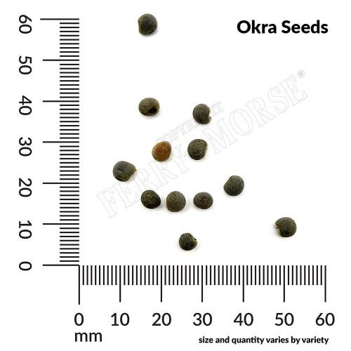 Okra Seeds Spill