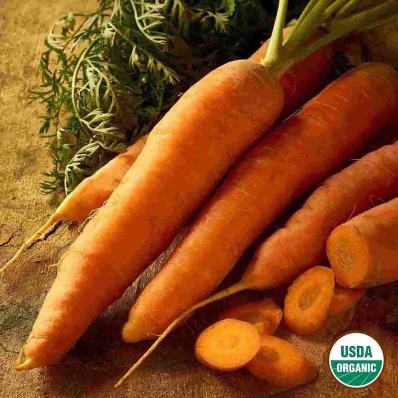 Organic Carrot Scarlet Nantes Vegetable Ferry Morse