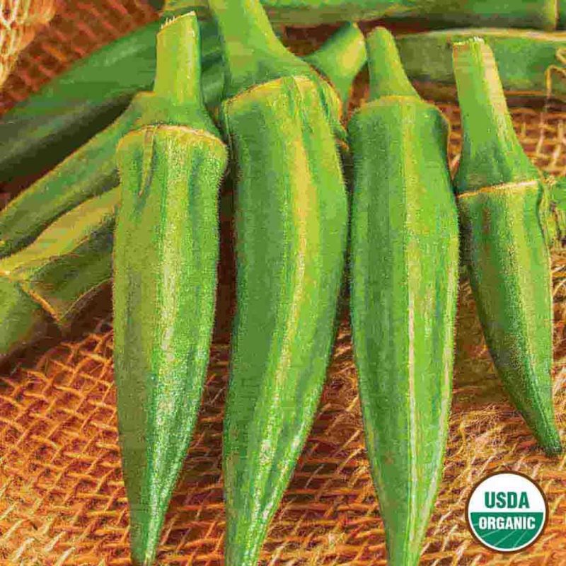 Organic Okra Clemson Spineless Vegetable Ferry Morse