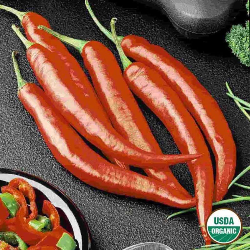 Organic Pepper Cayenne Long Slim Vegetable Ferry Morse