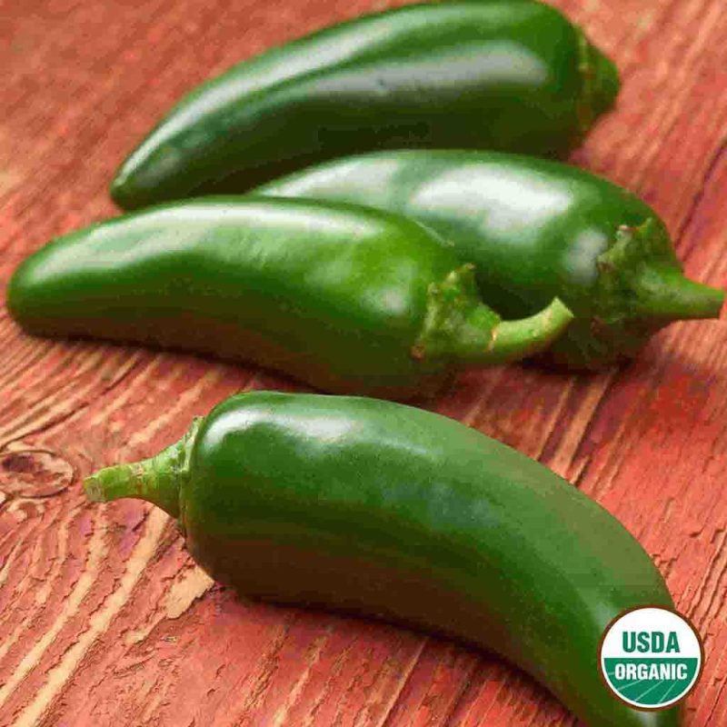 Organic Pepper Jalapeno Early Vegetable Ferry Morse