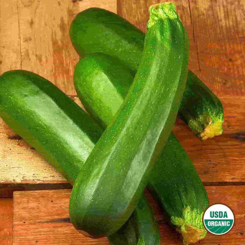 Organic Squash Dark Green Zucchini Vegetable Ferry Morse