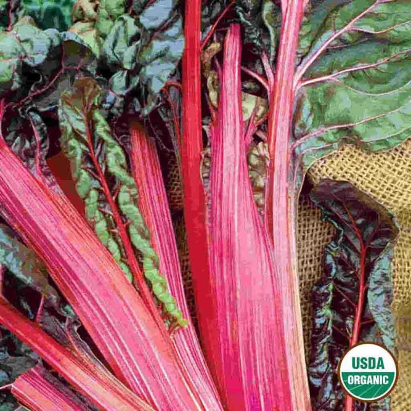 Organic Swiss Chard Ruby Vegetable Ferry Morse