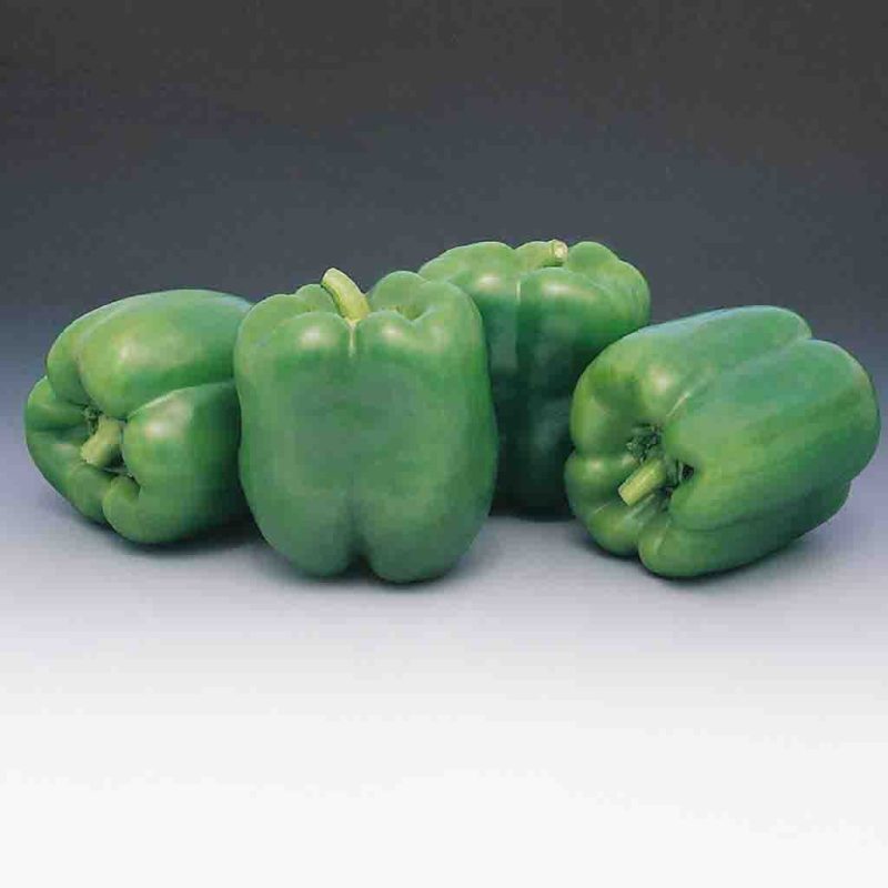 Pepper Garden Leader Monster Bell Vegetable Ferry Morse